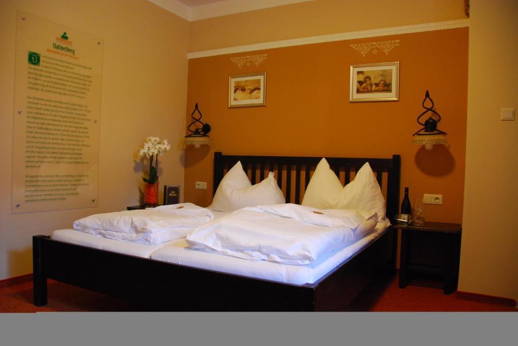 Hotel Magnus Klause à Mariazell Extérieur photo